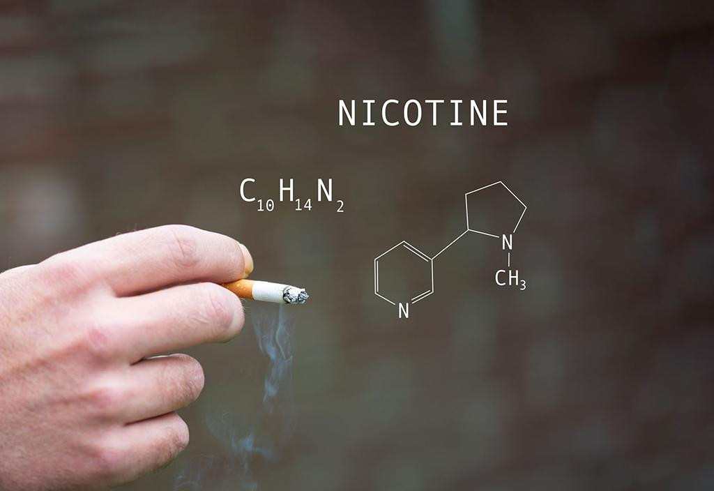 Nicotine trong thuốc lá có tác hại làm giảm khả năng học tập