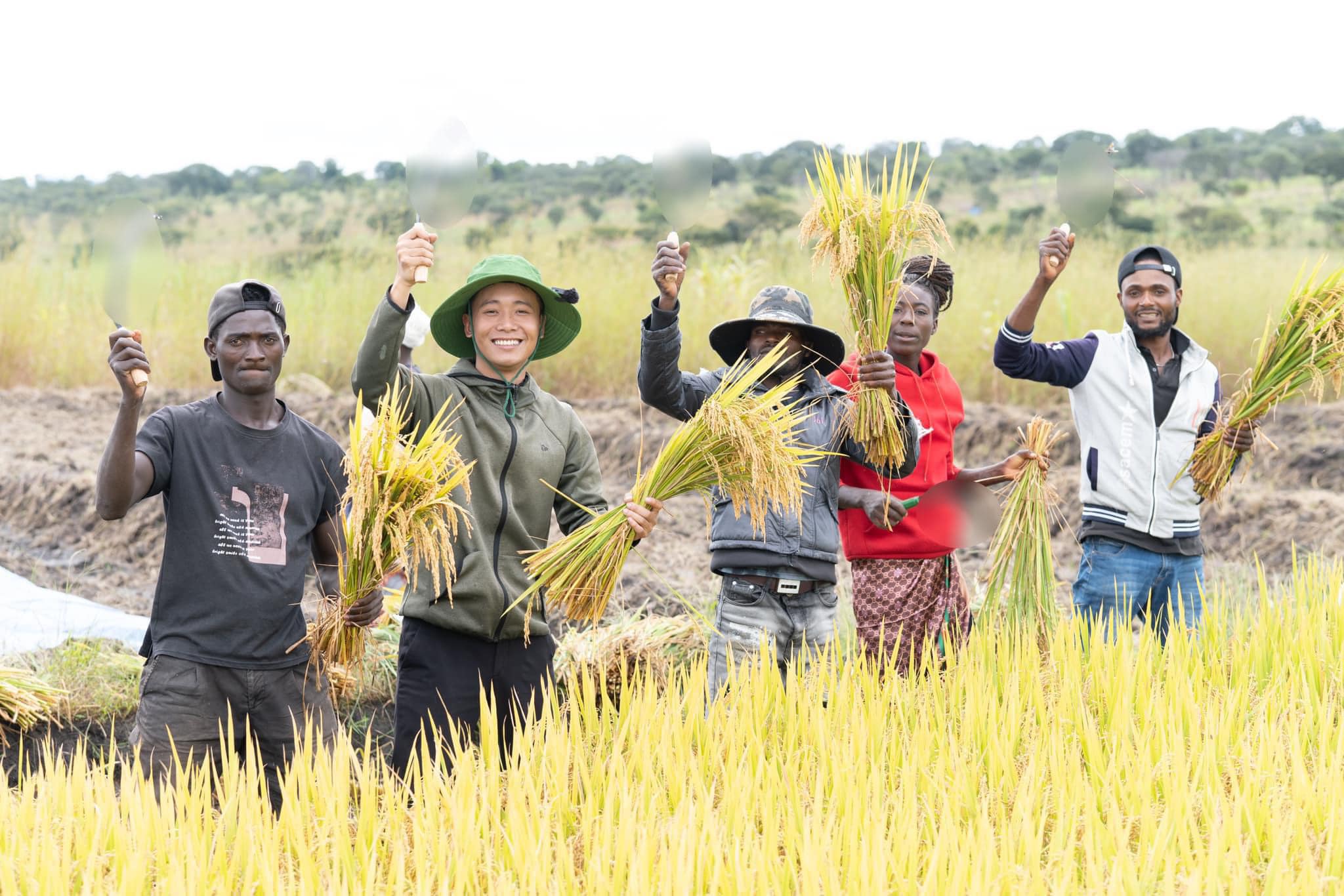 Quang Linh trồng lúa thành công, Bộ trưởng Nông nghiệp Angola đến thăm