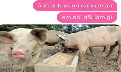 Chết cười với đủ trò đùa “lầy lội” ngày Cá tháng Tư