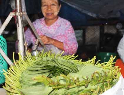 Ăn trầu khiến nhiều người mắc ung thư khoang miệng