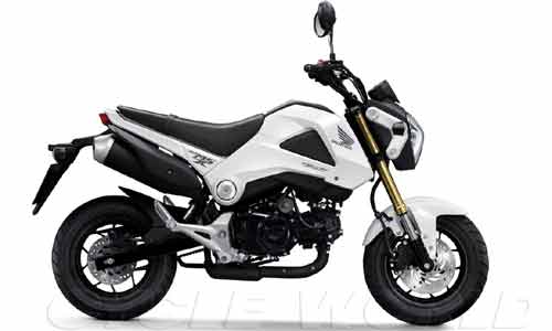 Honda MSX 125 giá 70 triệu đồng sắp trình làng VN