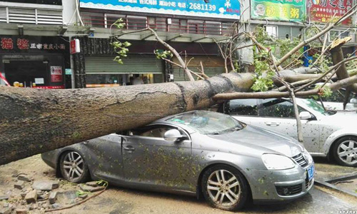  Chùm ảnh bão số 6 Hato tàn phá Hong Kong, Trung Quốc