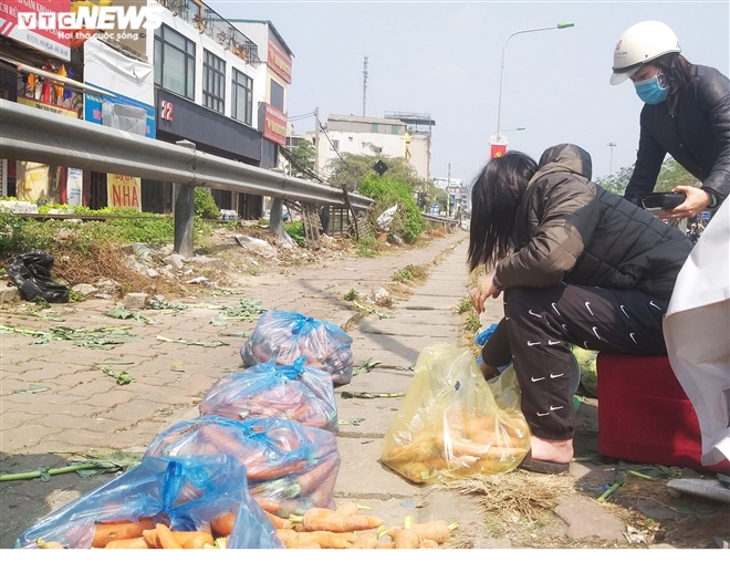 Ảnh: 15 tấn rau củ của nông dân Hải Dương hết veo sau vài tiếng 'giải cứu'