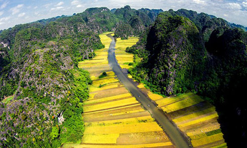 Vẻ đẹp “thần tiên” về Việt Nam trong phim King Kong