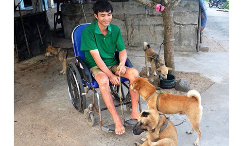 Ảnh: Chàng trai bại liệt làm du lịch ở đảo Bé Lý Sơn