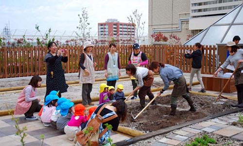 Lên nóc nhà ga tranh thủ trồng rau trong lúc chờ tàu