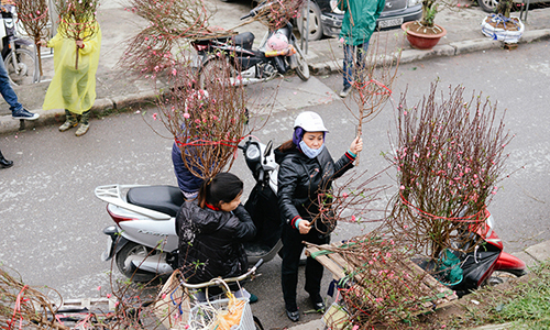 5 chợ hoa nổi tiếng Hà Nội nên ghé thăm trong dịp Tết