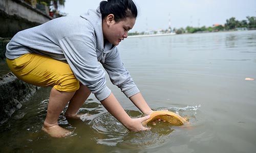 Mua 80 kg rùa giá 25 triệu ra sông Sài Gòn phóng sinh