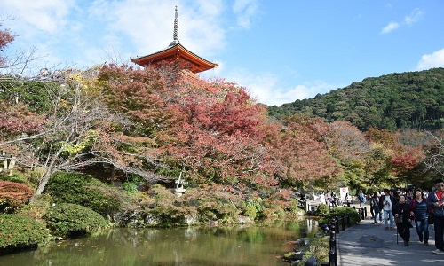 Ngắm ngôi chùa nổi tiếng nhất tại cố đô Kyoto