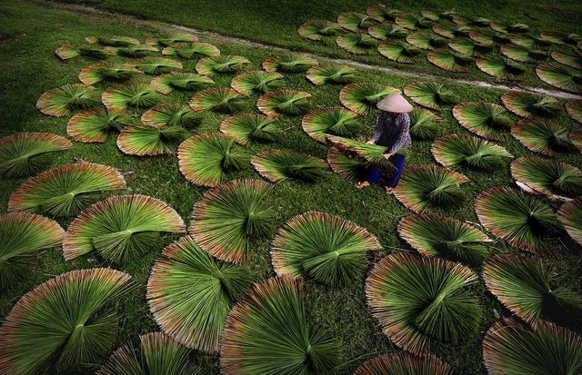 Mê mẩn Việt Nam tuyệt đẹp trên National Geographic 2016