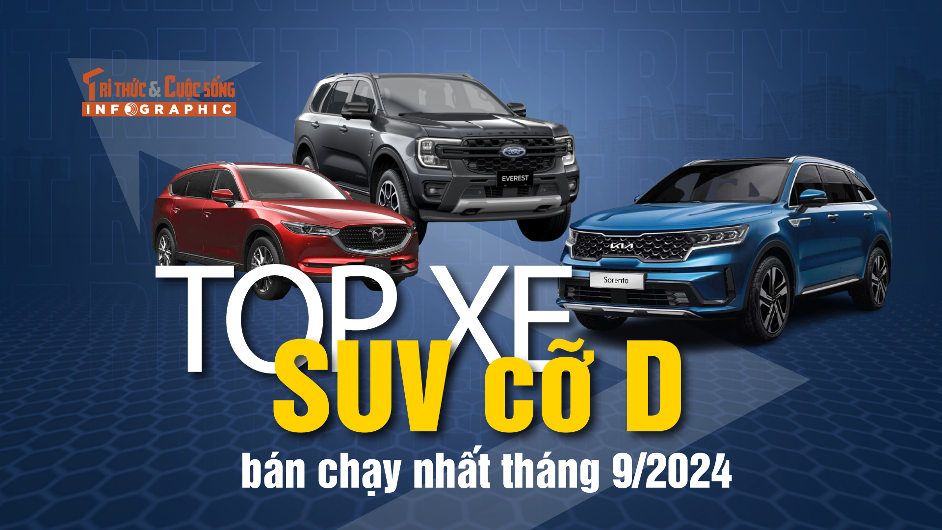 [INFOGRAPHIC] Top xe SUV cỡ D bán chạy nhất tháng 9/2024 