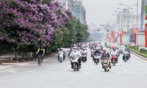 Muôn sắc hoa bằng lăng hớp hồn giới trẻ Hà thành