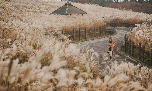 Khám phá Jeju - hòn đảo thiên đường