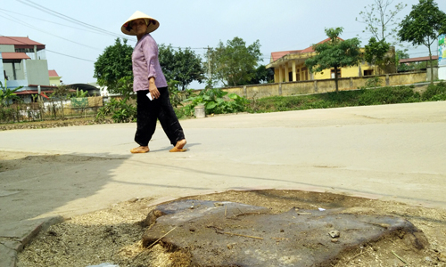 Cận cảnh hàng loạt cây xanh bị chặt hạ để dọn vỉa hè Hà Nội