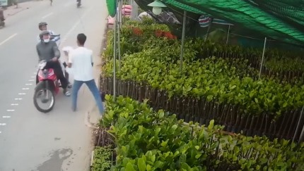 Video: Hai kẻ trộm chó chĩa súng dọa bắn chủ nhà