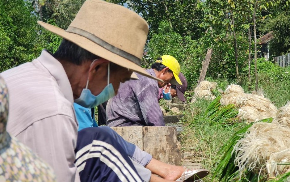 Trồng thứ củ bán Tết đắt như tôm tươi, nông dân thu bộn tiền