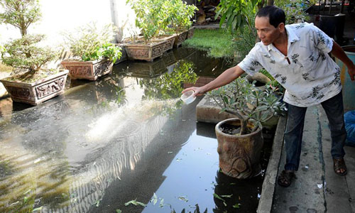 Nước thải thành ao nuôi cá trong hàng loạt nhà dân TP HCM