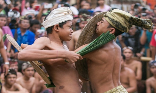 Gay cấn lễ hội Usabha Sambah trên đảo Bali, Indonesia