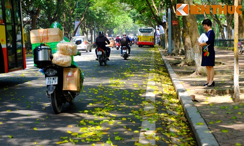 Ảnh: Lãng mạn những con đường trải đầy lá vàng ở Hà Nội