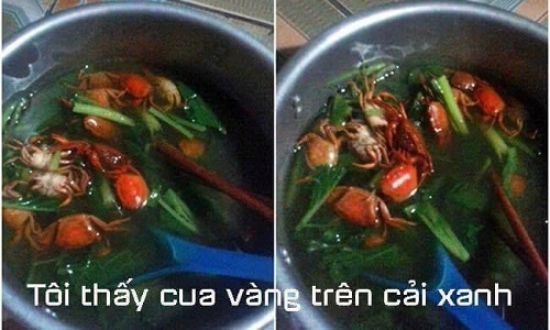 Tên gọi mỹ miều của loạt món ăn thảm họa chồng nấu