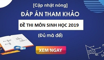 Đáp án đề thi tham khảo môn Sinh học THPT quốc gia 2019