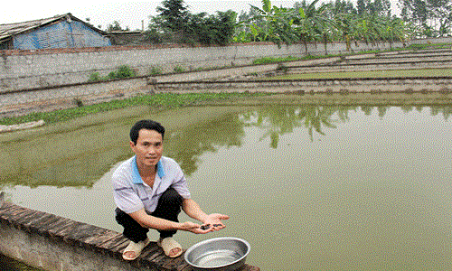 Sạt nghiệp, vỡ nợ bỗng thành triệu phú nhờ... ba ba 