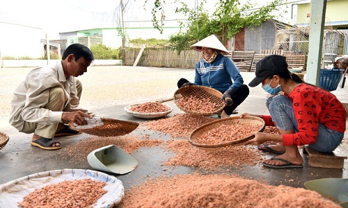 Về thủ phủ tôm khô miền Tây kiến tiền triệu dịp Tết