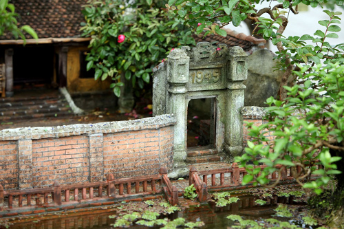 Mê mẩn những bonsai tiểu cảnh làng quê đẹp hút hồn