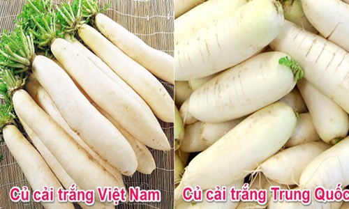 Củ cải trắng rớt giá thảm: Cách phá tan nghi ngờ "cứ to là hàngTQ"