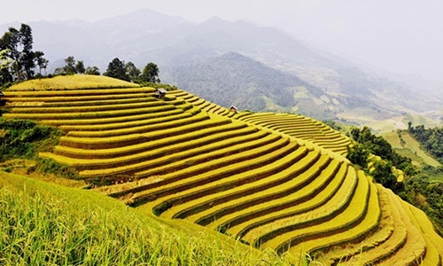 Những tour du lịch giá mềm hút khách dịp 2/9