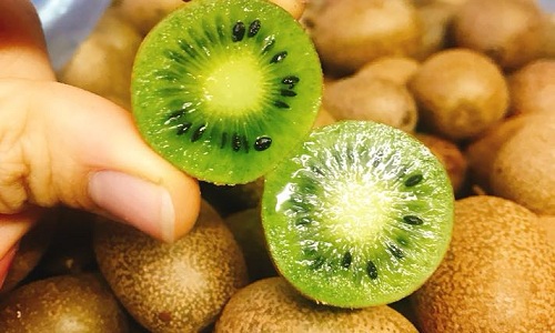 Cận cảnh kiwi rừng giá “bèo” chị em tranh nhau mua