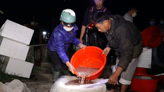 Cận cảnh người dân chong đèn "vớt tiền" cả trăm triệu đồng mỗi đêm