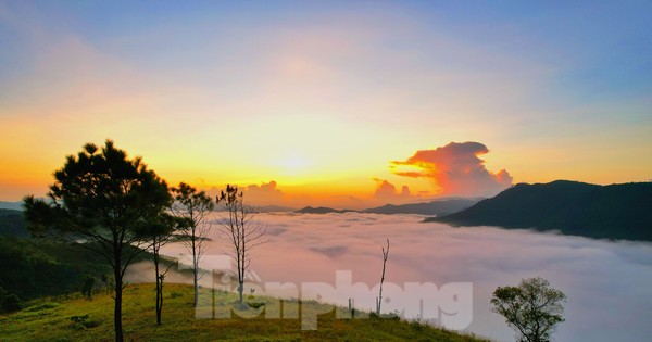 Săn mây trên đỉnh Phượng Hoàng - toạ độ 'check in sống ảo' 