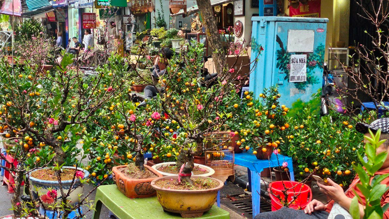 Chợ hoa Hàng Lược nhộn nhịp ngày cận Tết 