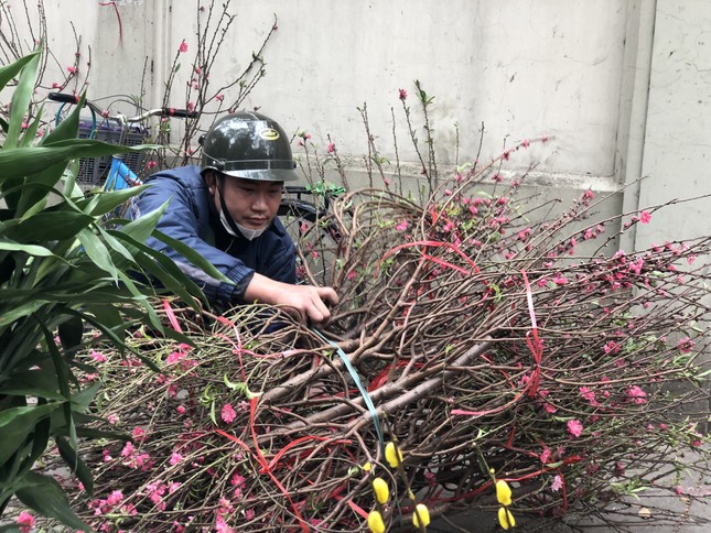 29 Tết: Tiểu thương ngủ gật, đào quất ế chỏng chơ