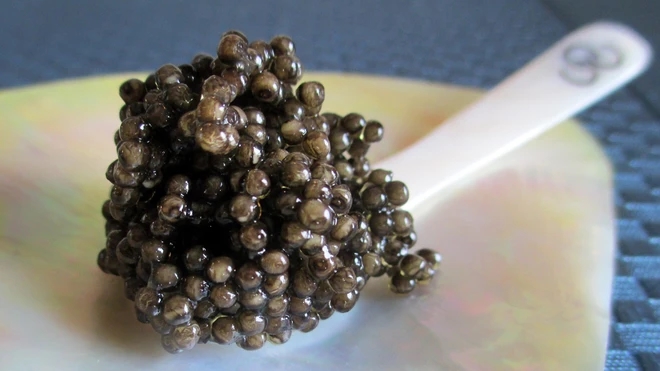 Lý do gì khiến trứng cá Caviar đắt bậc nhất hành tinh? 