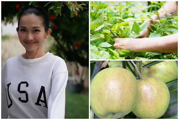 Cơ ngơi rộng rãi ngập rau trái của “em gái Hà Tăng” tại Mỹ