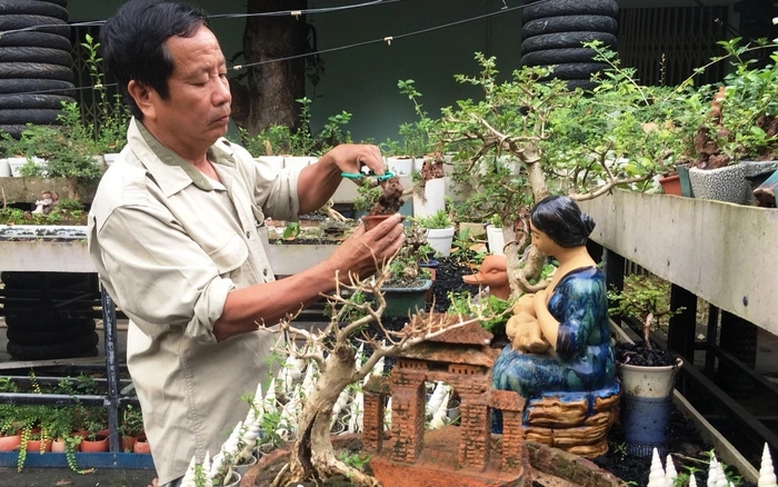 Chi tiết những cây bonsai mini của lão nông Nha Trang