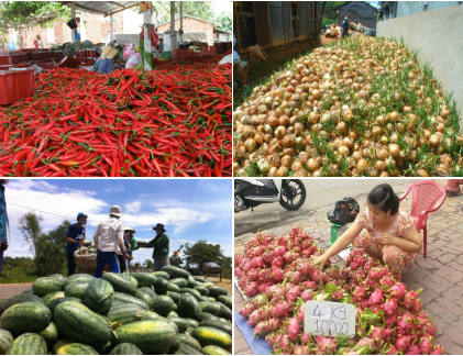 Điểm danh hoa quả rẻ thối, cho không ai lấy