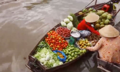 Clip 90 ngày sống thú vị trên dòng sông Mekong