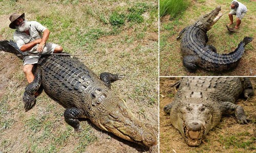 “Dị nhân chân trần” mê chinh phục cá sấu khổng lồ