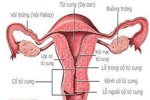Suy buồng trứng phải điều trị đúng chuyên khoa sản