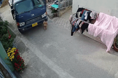 Clip: Bé trai ở Đồng Nai thoát chết kỳ diệu dưới gầm xe tải