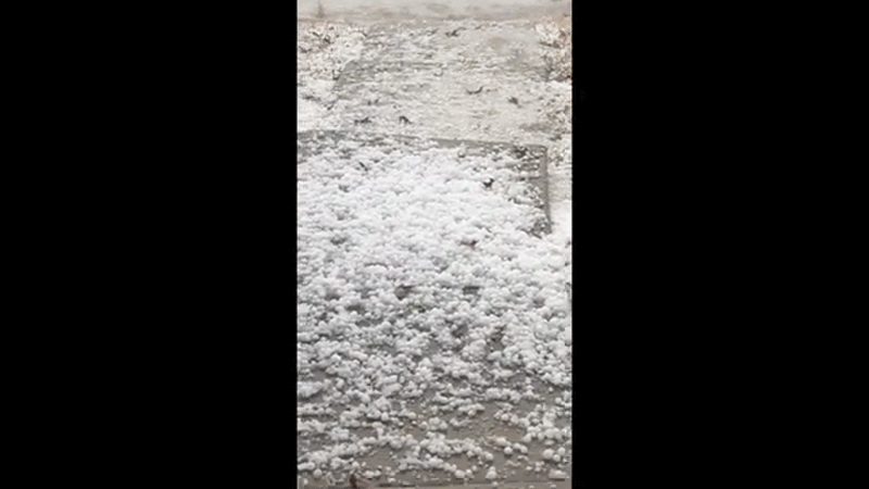 Video: “Chiêm ngưỡng” mưa đá ở Texas