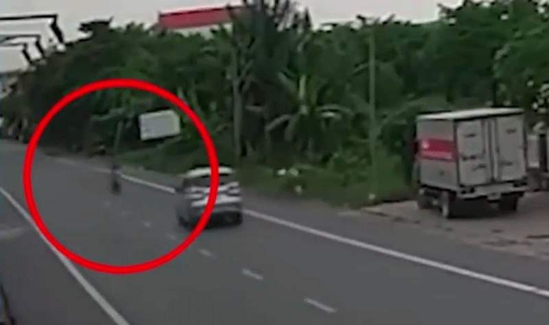 Video: Bất tỉnh tại chỗ khi phóng xe máy lấn làn đâm trực diện ô tô