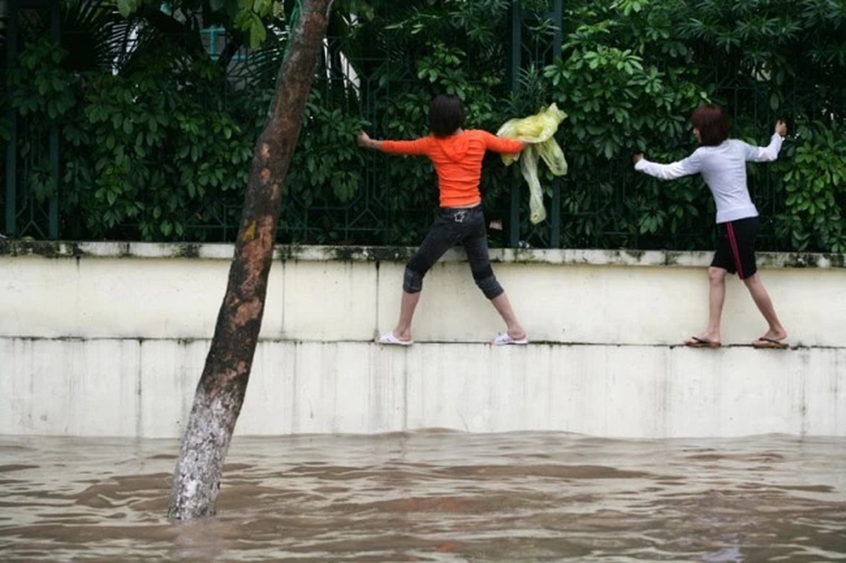 Chuẩn bị đón bão Yagi, netizen liên tưởng đến trận lũ lịch sử 2008