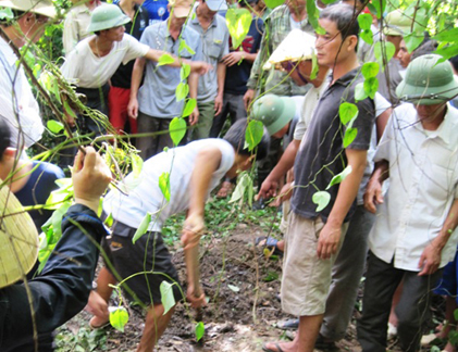 Cận cảnh người dân “khai quật”... thuốc trừ sâu