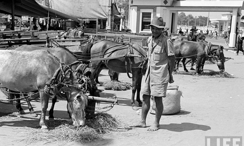 Ảnh độc về kế sinh nhai ở Sài Gòn năm 1950 (4)