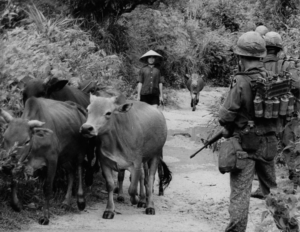 Miền Nam Việt Nam năm 1966 trong ảnh của Dana Stone