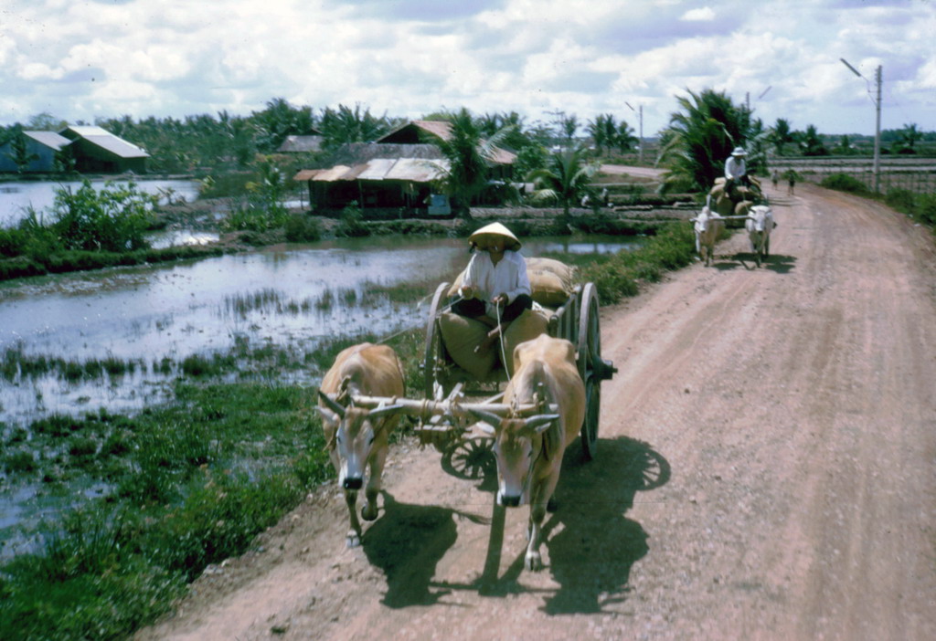 Ảnh đời thường thú vị ở Long An năm 1968 (2)